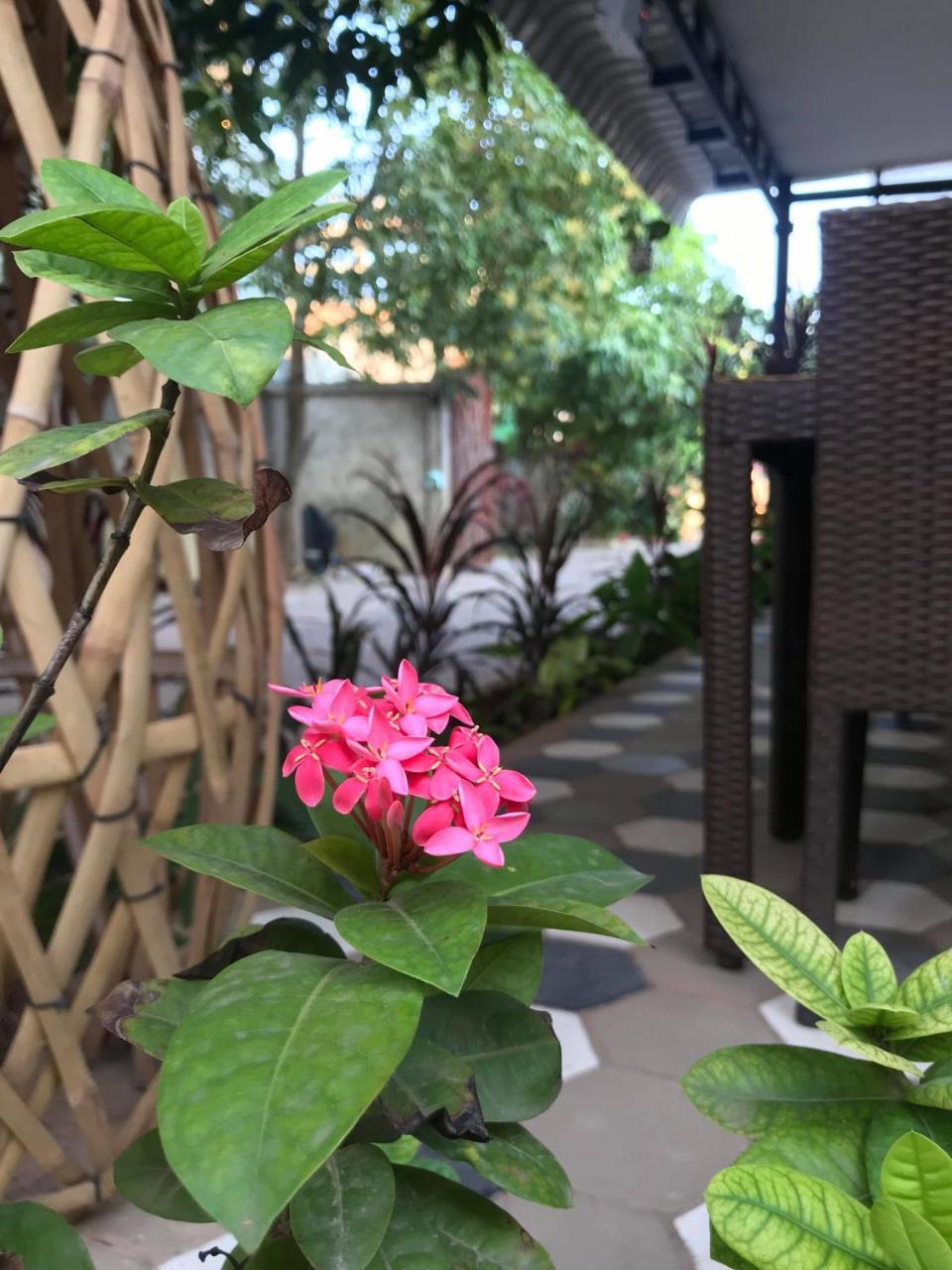 סיאם ריפ My Home Villa מראה חיצוני תמונה